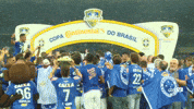copa do brasil cruzeiro GIF by O Maior de Minas