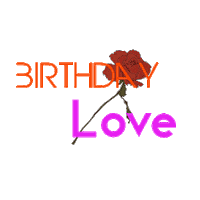 celebration love Sticker by HOKK FABRICA