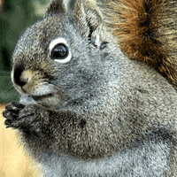 Move Moving GIF by TWO MEN AND A TRUCK®