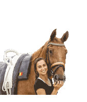 conradlauren vaulting conradlauren eppie Sticker