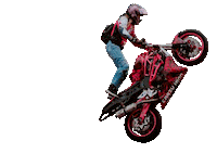 Motorcycle Stuntbike Sticker by Crazy Iron