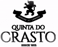 quintadocrasto quintadocrasto GIF