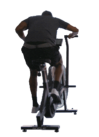 Rrb Ryourogue Sticker by Rogue Fitness