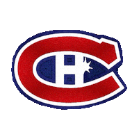 hockey nhl GIF by imoji