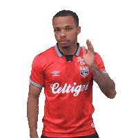 Belgian Red Devils Belgium Sticker by EA Guingamp