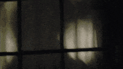 my first kiss and the people involved bobbi salvor menuez bobbi menuez GIF