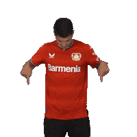 Look Down Its You Sticker by Bayer 04 Leverkusen