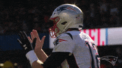 2018 Nfl Football GIF by New England Patriots