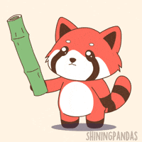 Red Panda Omg GIF