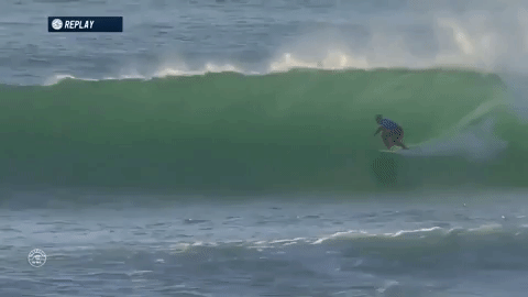 water sports sport GIF by World Surf League