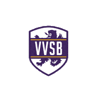 vvsb Sticker by Tweede Divisie