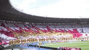 national team brazil GIF
