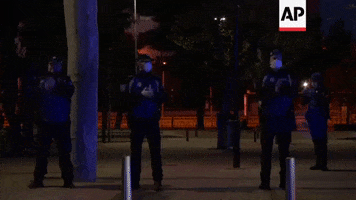 Spain Applause GIF