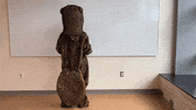 BeaverCountryDaySchool beaver bvr feed your brain GIF