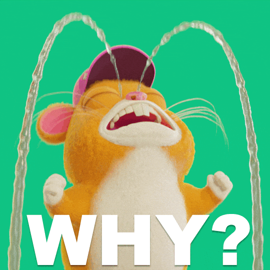 Why Me Hamster GIF by Grind