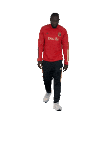 Red Devils Celebration Sticker by ING Belgium