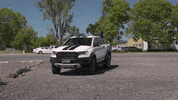 Loans4U panda finance brokers ausfinance GIF