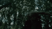 lost without you GIF by Freya Ridings