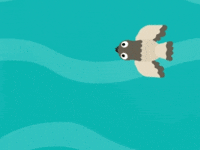 Bird Fly GIF by Studycat