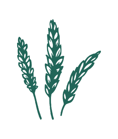 maddwarf giphyupload beer mad craft Sticker