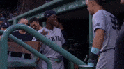 New York Yankees Sport GIF by MLB