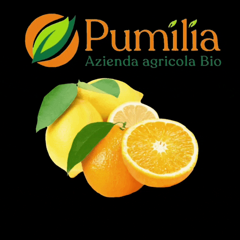 Aziendabiopumilia giphyupload bio sicilia azienda GIF