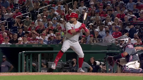 tesstass giphyupload GIF