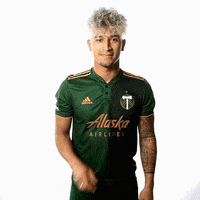 Portland Timbers Sport GIF by Timbers