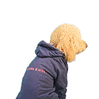 PetsBest dog puppy pet doodle Sticker