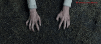 Thanksgiving GIF by Sony Pictures