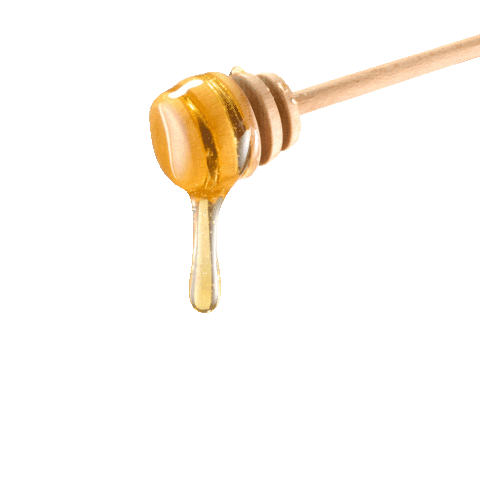 Honey Sticker by Breitsamer Honig