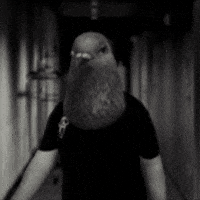 Pigeon Man GIF