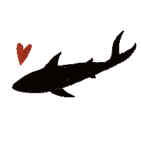 Shark Sticker