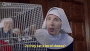 Episode 8 GIF by PBS