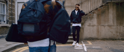 GIF by Zedd