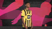 Posing Borussia Dortmund GIF by Bundesliga