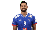 France Hand Sticker by EHF