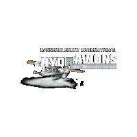 Plane Airplane Sticker by villebiscarrosse