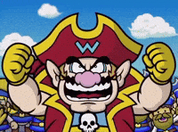 Wii U Pirate GIF