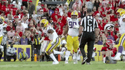 Lsu Football Lsufb19 GIF by LSU Tigers