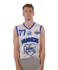 Basketball Center Sticker by Landstede Hammers