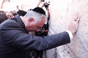 Iran Democracy GIF