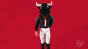 Nfl Thank You GIF by Houston Texans