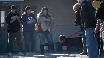 Adopt Dont Shop Rescue Dogs GIF by KARE 11