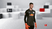 Posing Line Up GIF by Bundesliga