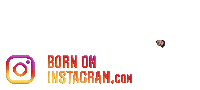 Kundan319Boi Sticker by BORN ON INSTAGRAM