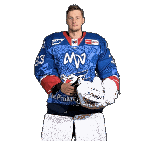 Hockey Goalie Sticker by Adler Mannheim