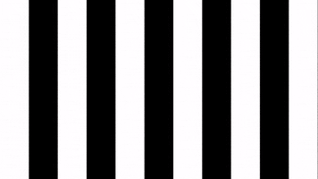 Soccer Celebration GIF by SK Sturm Graz