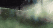 Music Video Swimming GIF by Peach Pit