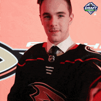 ice hockey sport GIF by NHL